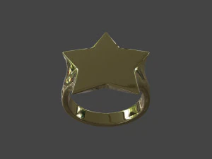 RING-007 3D Model