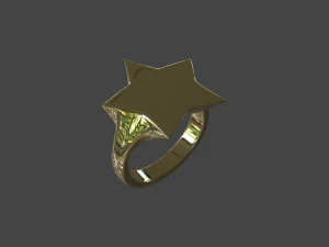RING-007 3D Model