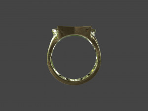 RING-007 Modelo 3D