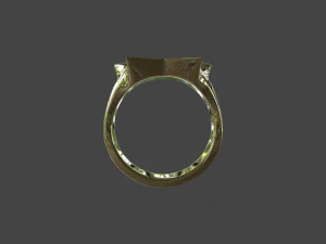 RING-007 3D Model