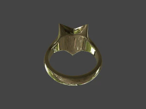 RING-007 3D Model