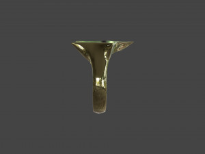 RING-007 Modelo 3D