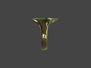 RING-007 3D Model