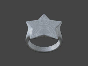 RING-007 3D Model