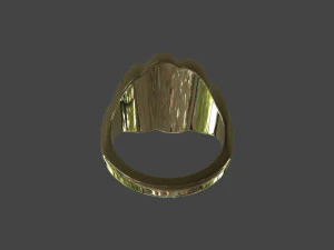 RING-008 3D Model
