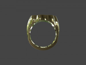 RING-008 3D मॉडल