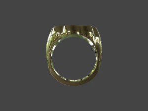 RING-008 3D Model