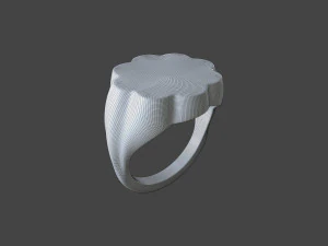RING-008 3D Model