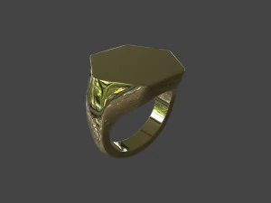 RING-009 3D Model