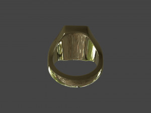 RING-009 Model 3D