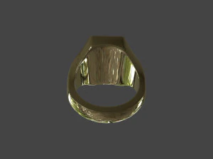 RING-009 3D Model
