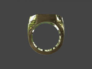 RING-009 Model 3D