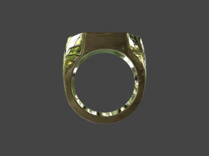 RING-009 3D Model