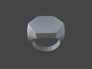 RING-009 Model 3D