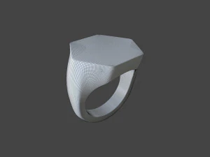 RING-009 3D Model