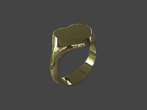 RING-010 3D Model