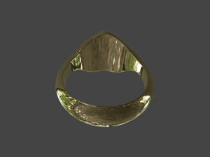 RING-010 3D Model