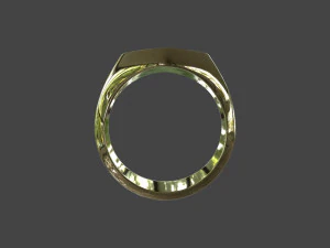 RING-010 3D Model