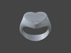 RING-010 3D Model