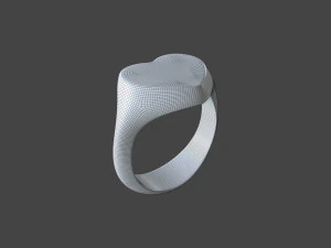 RING-010 3D Model