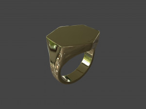 RING-011 3D 모델