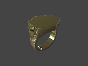 RING-011 3D Model