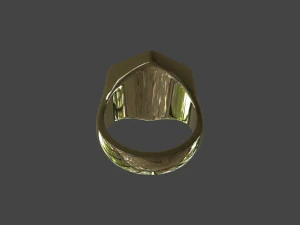 RING-011 3D Model