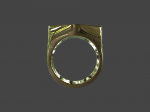 RING-011 3D 모델