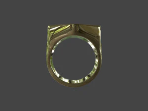 RING-011 3D Model