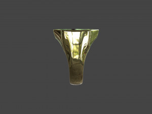 RING-011 3D 모델