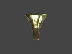 RING-011 3D Model