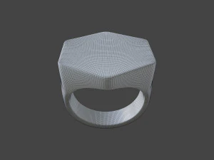 RING-011 3D Model