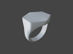 RING-011 3D Model