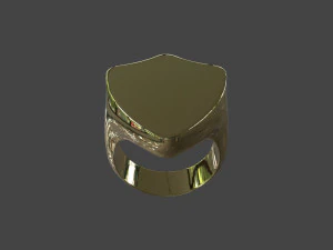 RING-012 3D Modell