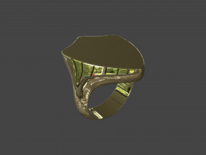 RING-012 Modelo 3D