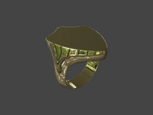 RING-012 3D Model