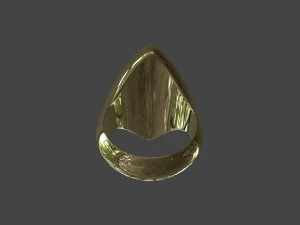 RING-012 3D Model