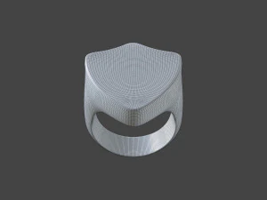 RING-012 3D Model