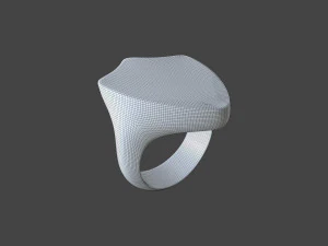 RING-012 3D Model