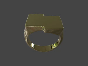 RING-013 3D Model