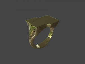 RING-013 Modello 3D