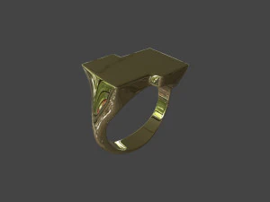 RING-013 3D Model