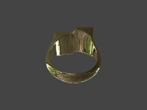 RING-013 Modello 3D
