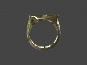 RING-013 Modello 3D