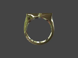 RING-013 3D Model