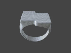 RING-013 3D Model