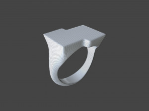 RING-013 Modello 3D
