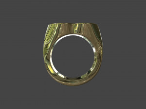 RING-014 3D Model