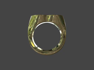 RING-014 3D Model