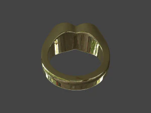 RING-014 3D Model